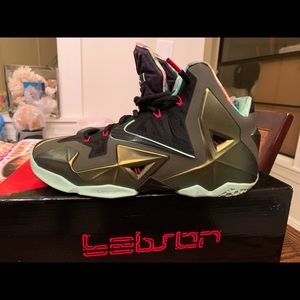 Lebron King of the Jungle 11